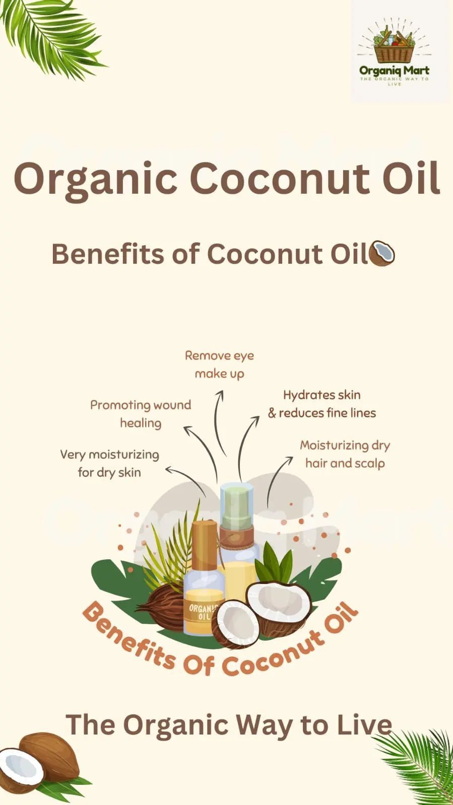 Coconut Oil - Organiq Mart
