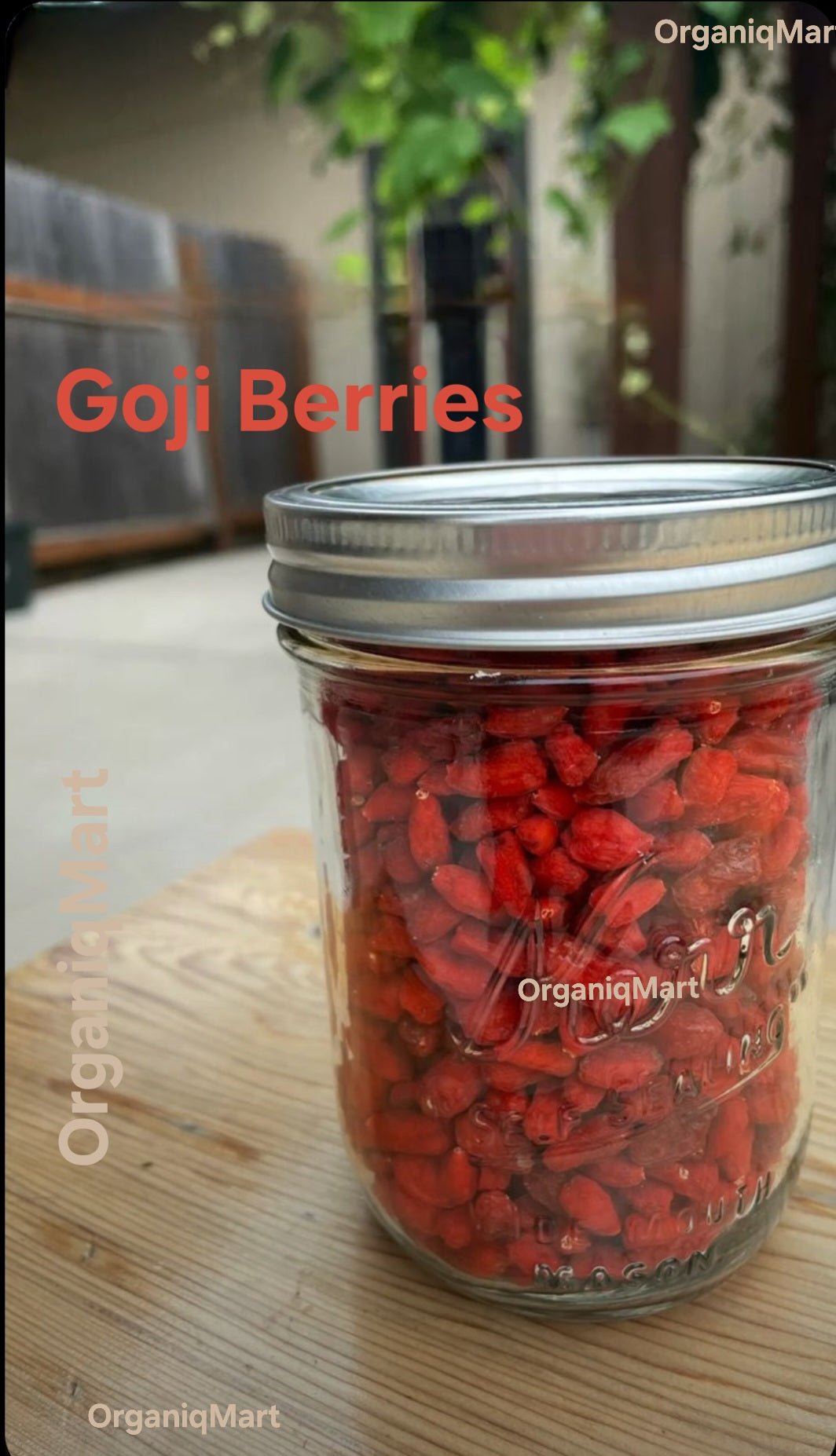 Gojji Berries - Organiq Mart