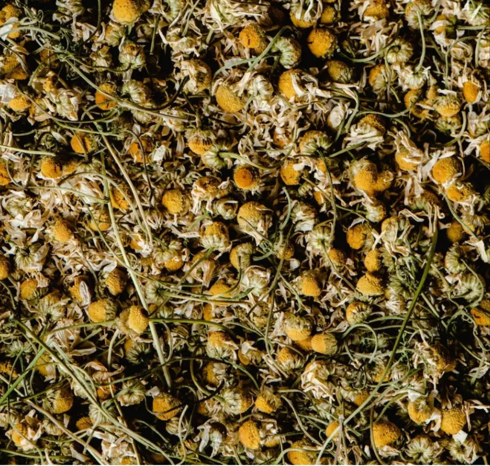 Chamomile Tea - Organiq Mart
