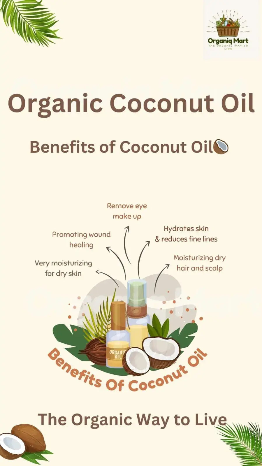 Coconut Oil - Organiq Mart