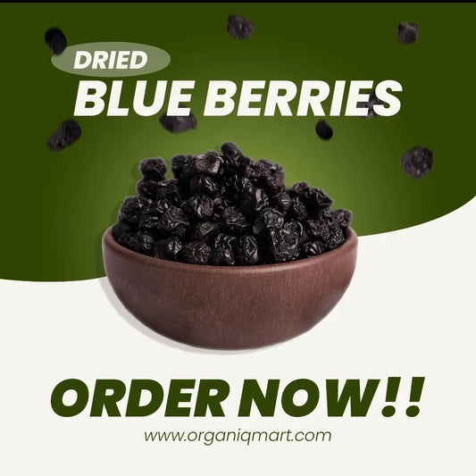 Dried BlueBerries (Sugar-Infused)- Organiq Mart