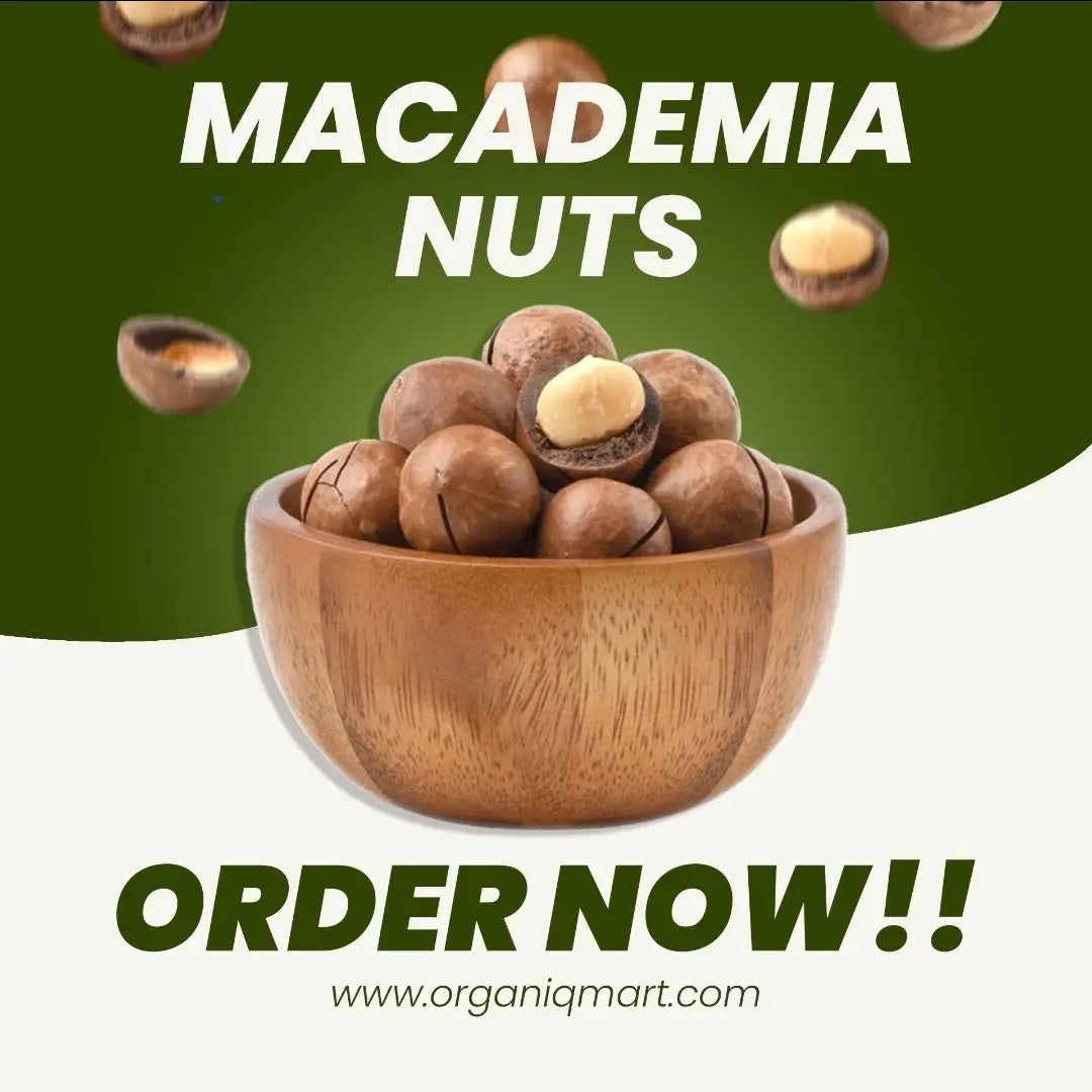 - Macademia Nuts (چابی والا اخروٹ)- Organiq Mart