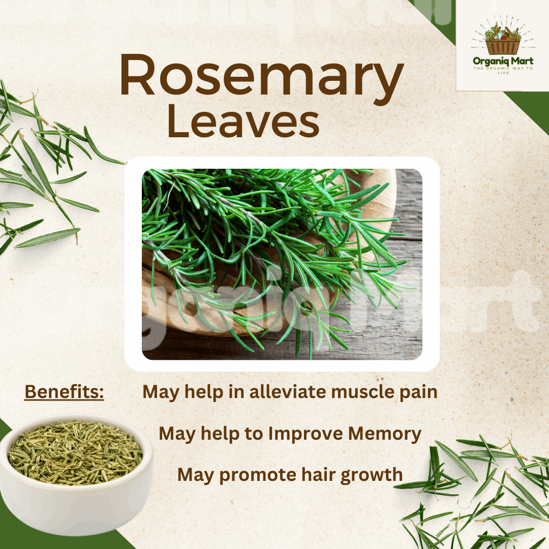 Dried Rosemary Leaves - Organiq Mart