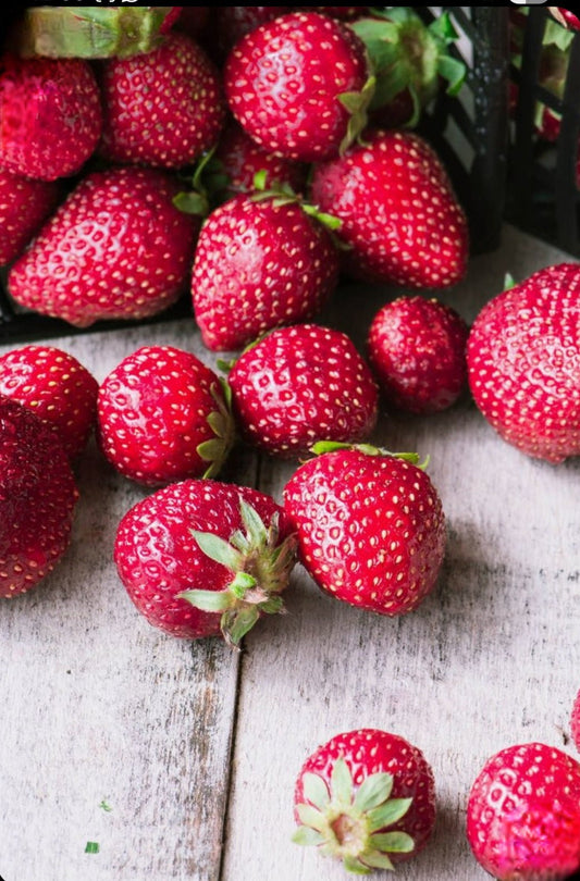 Dried / Dehydrated Strawberries - Organiq Mart