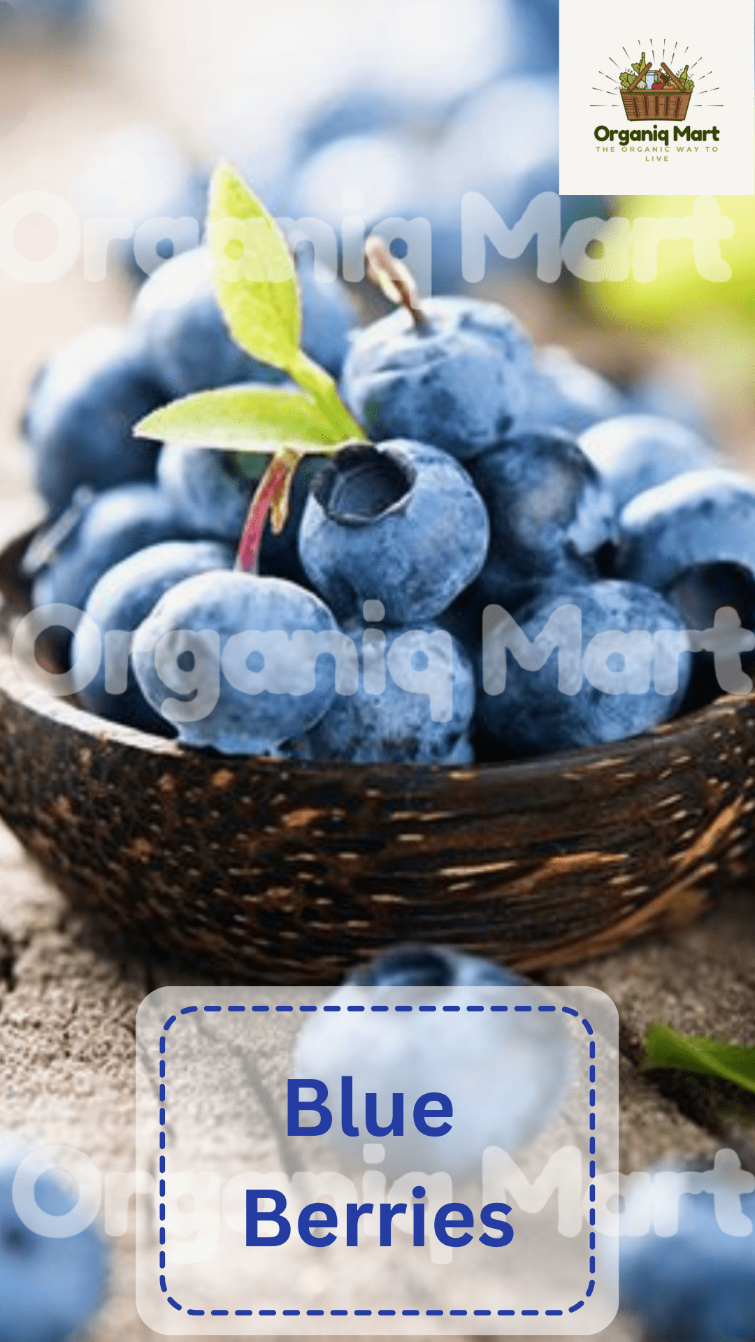 Blue Berries - Organiq Mart