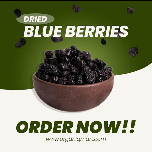 Dried BlueBerries (Sugar-Infused) - Organiq Mart